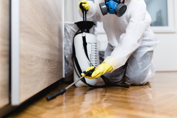 Wildlife Control Services in Harvey, LA