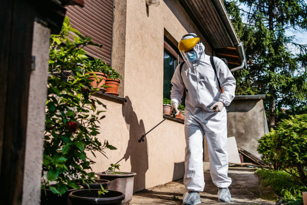 Best Pest Prevention Services  in Harvey, LA