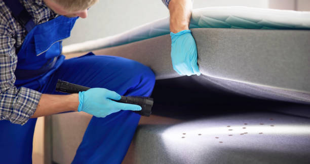Best Flea Control Services  in Harvey, LA